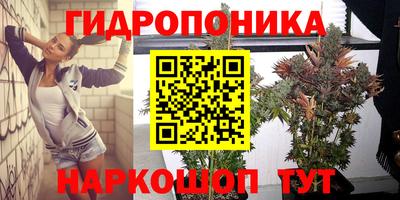 хмурый Моздок