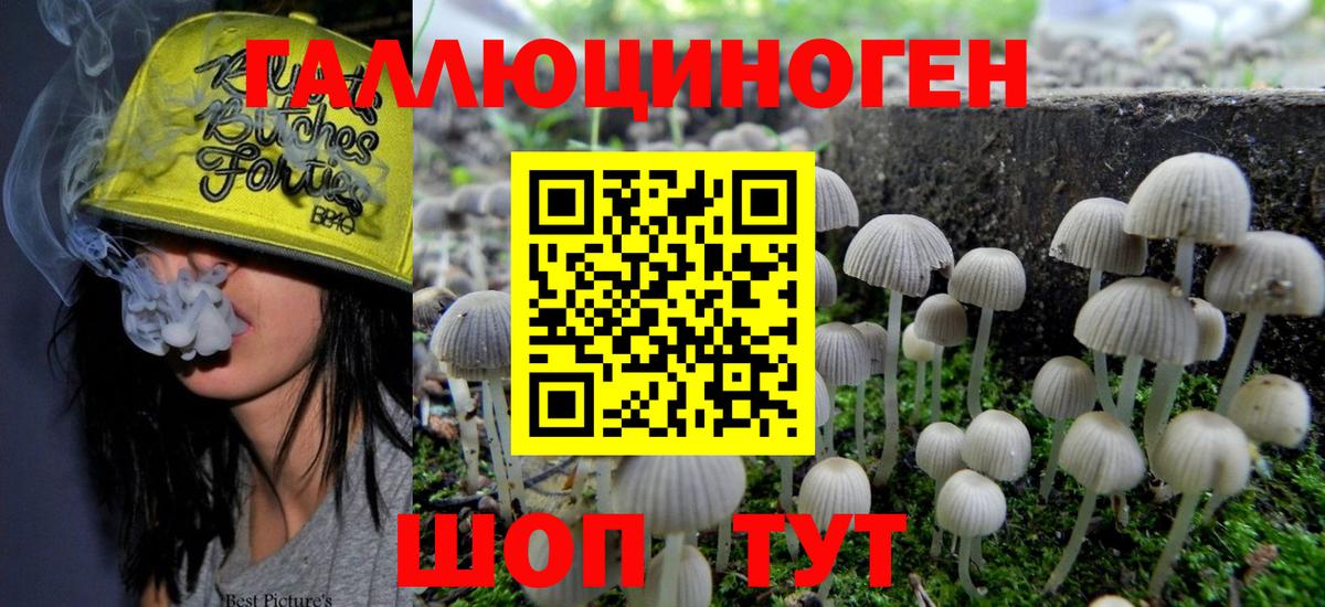 Галлюциногенные грибы Psilocybe  Псилоцибиновые грибы мухоморы  Вход с VPN  Тверь 